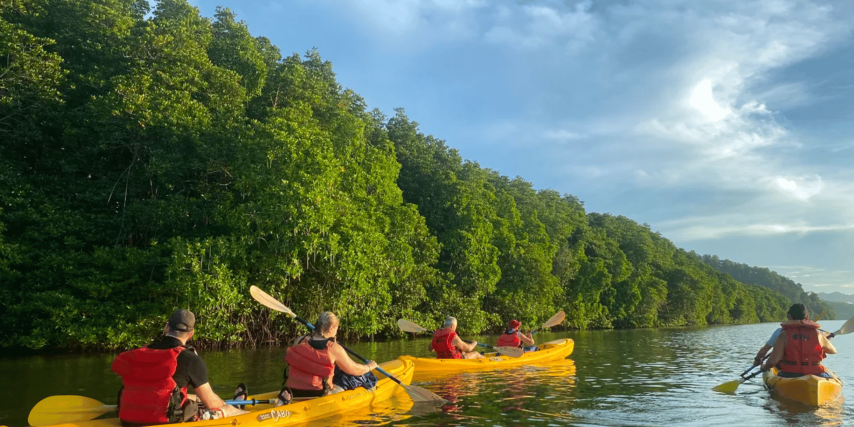 Kayaking through Los Haitises National Park mangroves